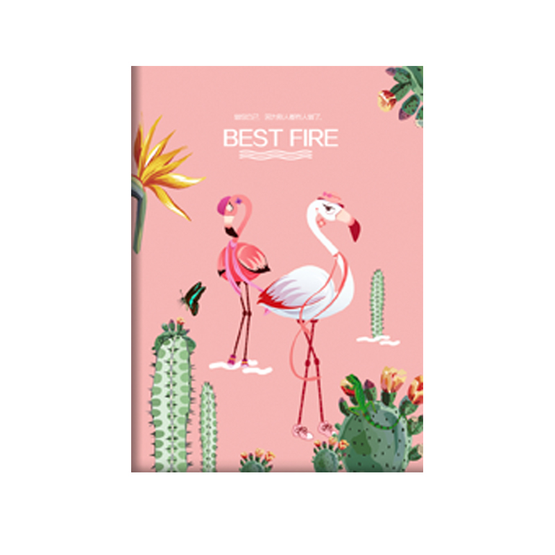 BOOEEM火烈鸟笔记本 记事本生日礼品手账本